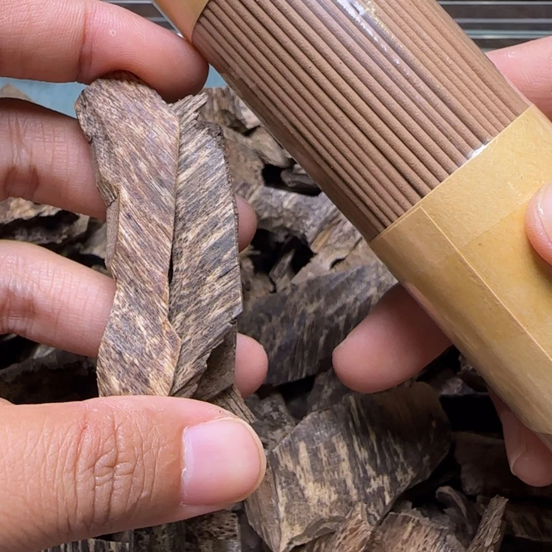 越南芽庄虫漏12克重福利