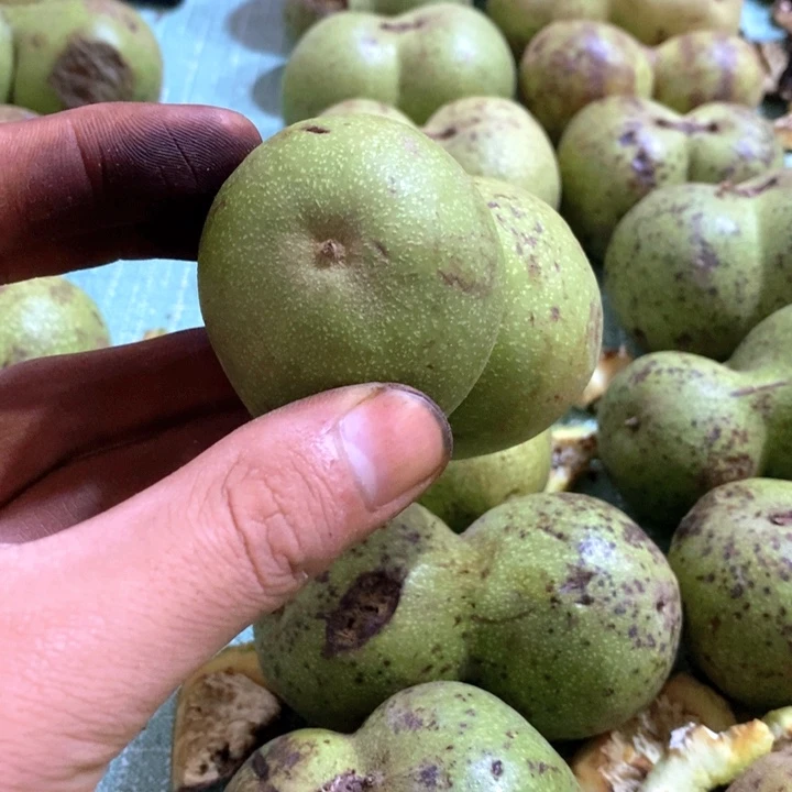 把件文玩核桃油**叔