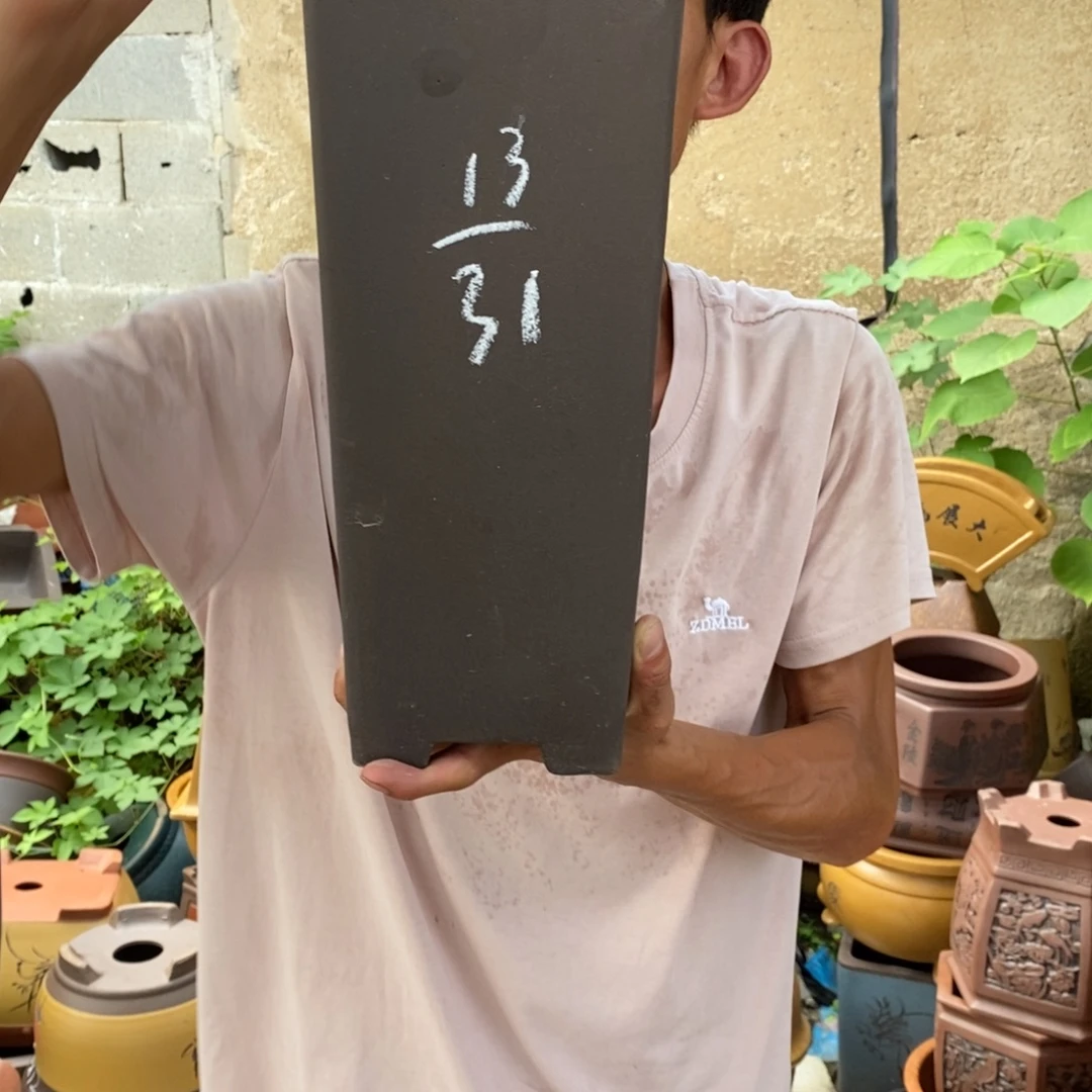 紫砂紫砂紫砂紫砂