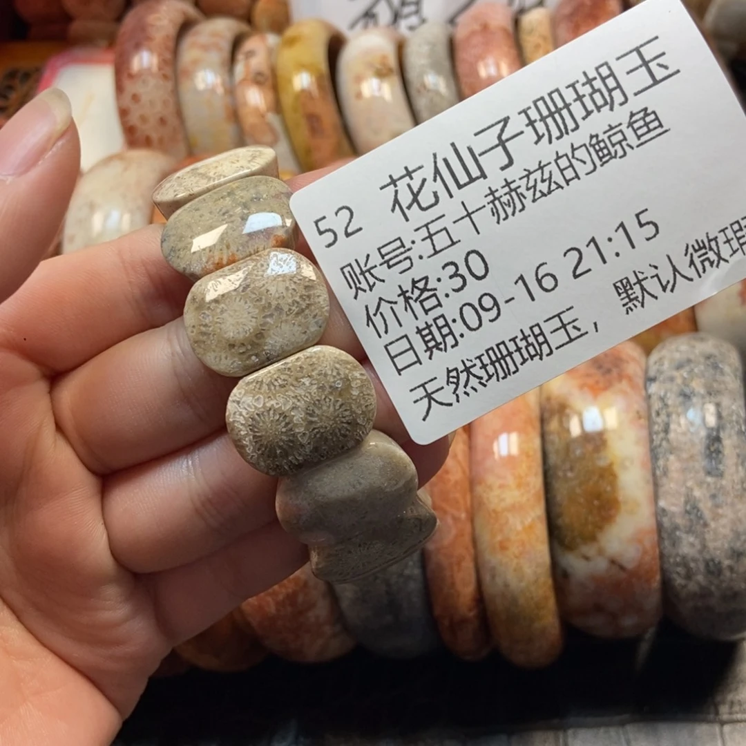 五***鱼未镶嵌硅化珊瑚（珊瑚玉）珠宝半成品52