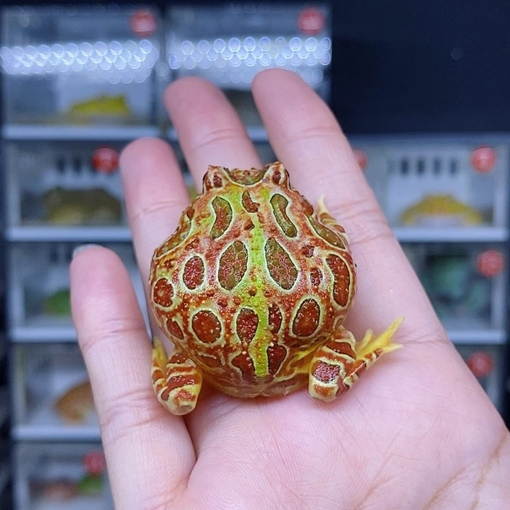 特价秒杀现货特价
