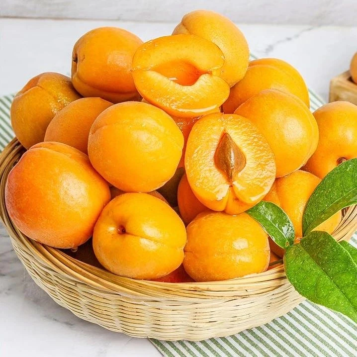 【果园直发】新鲜大黄杏黄杏孕妇水果金太阳杏子新鲜酸甜鲜果甜杏子