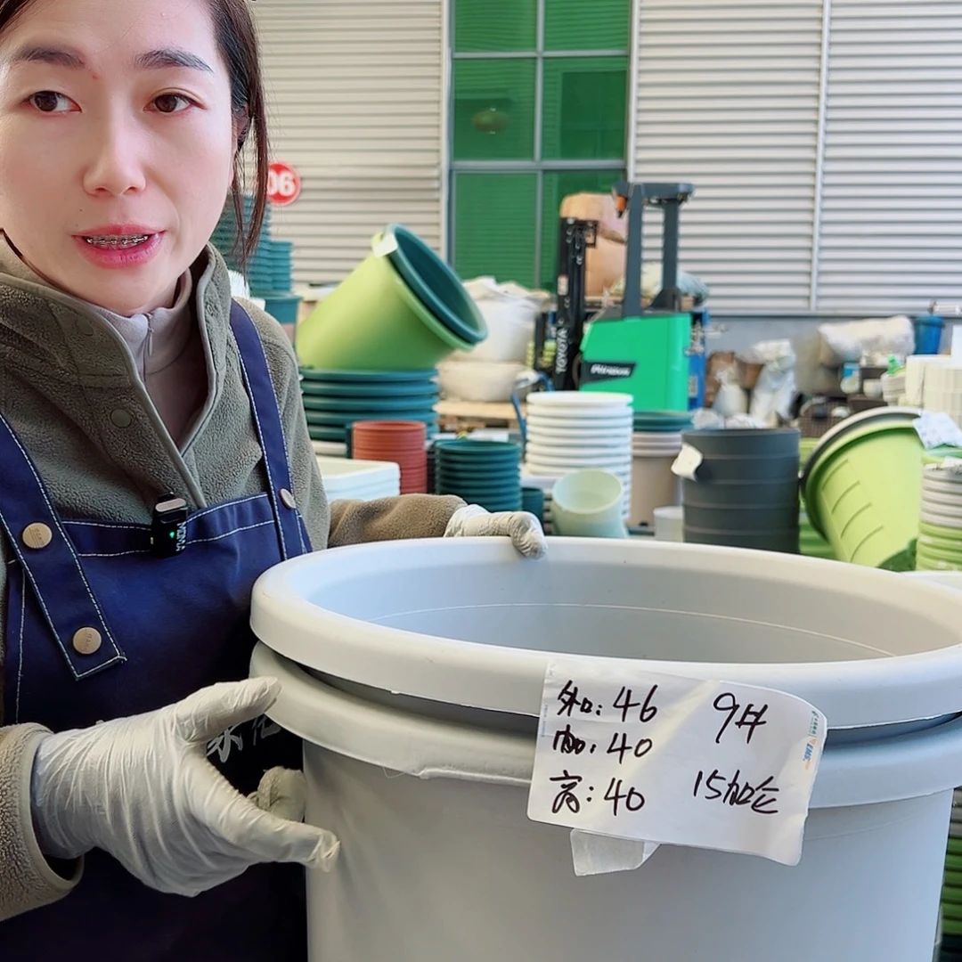 瑕疵四季盆9#灰白3个无托