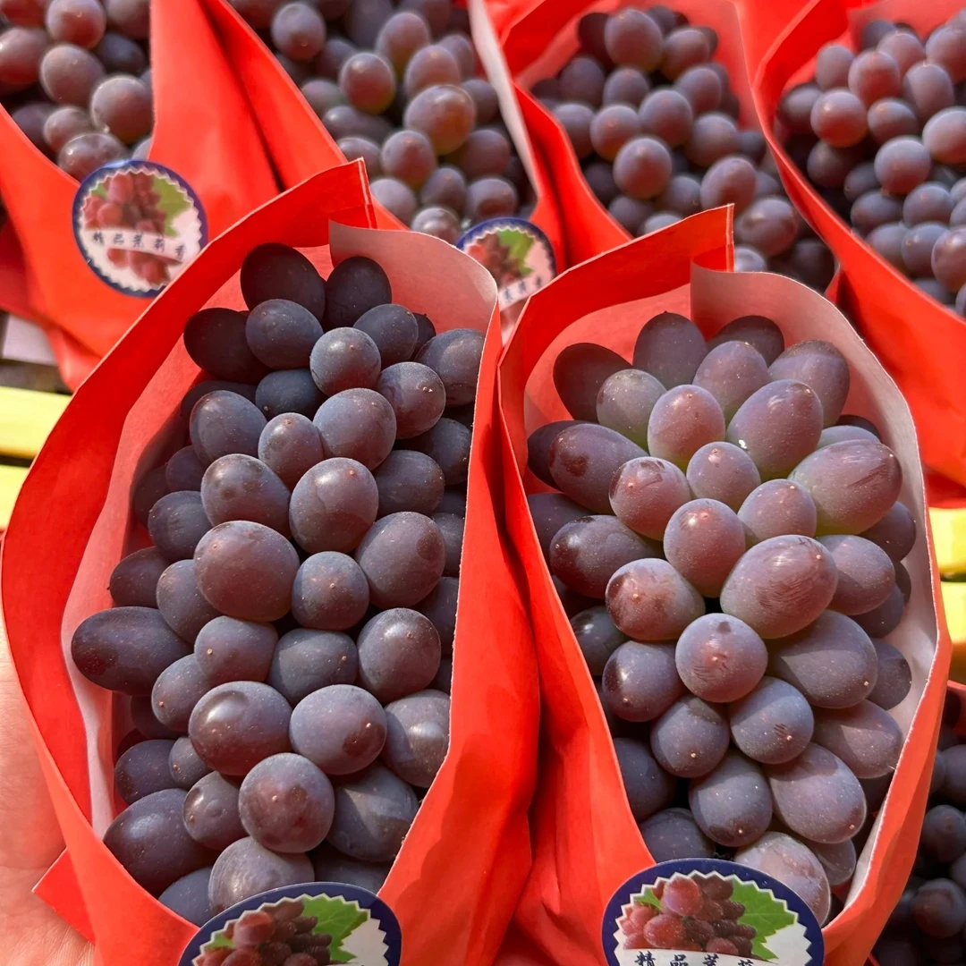 茉莉香葡萄：500g+-50g云南省