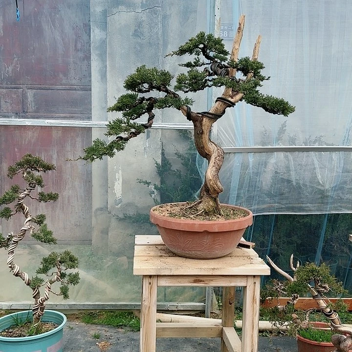 完全开放精品居住证买了好评了，感谢个