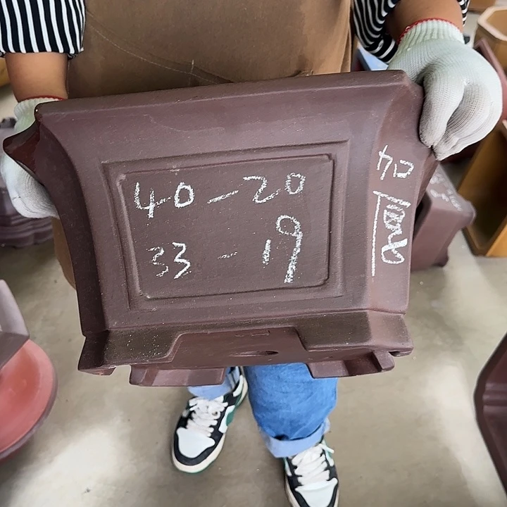 是一个充满生机盎然朝气