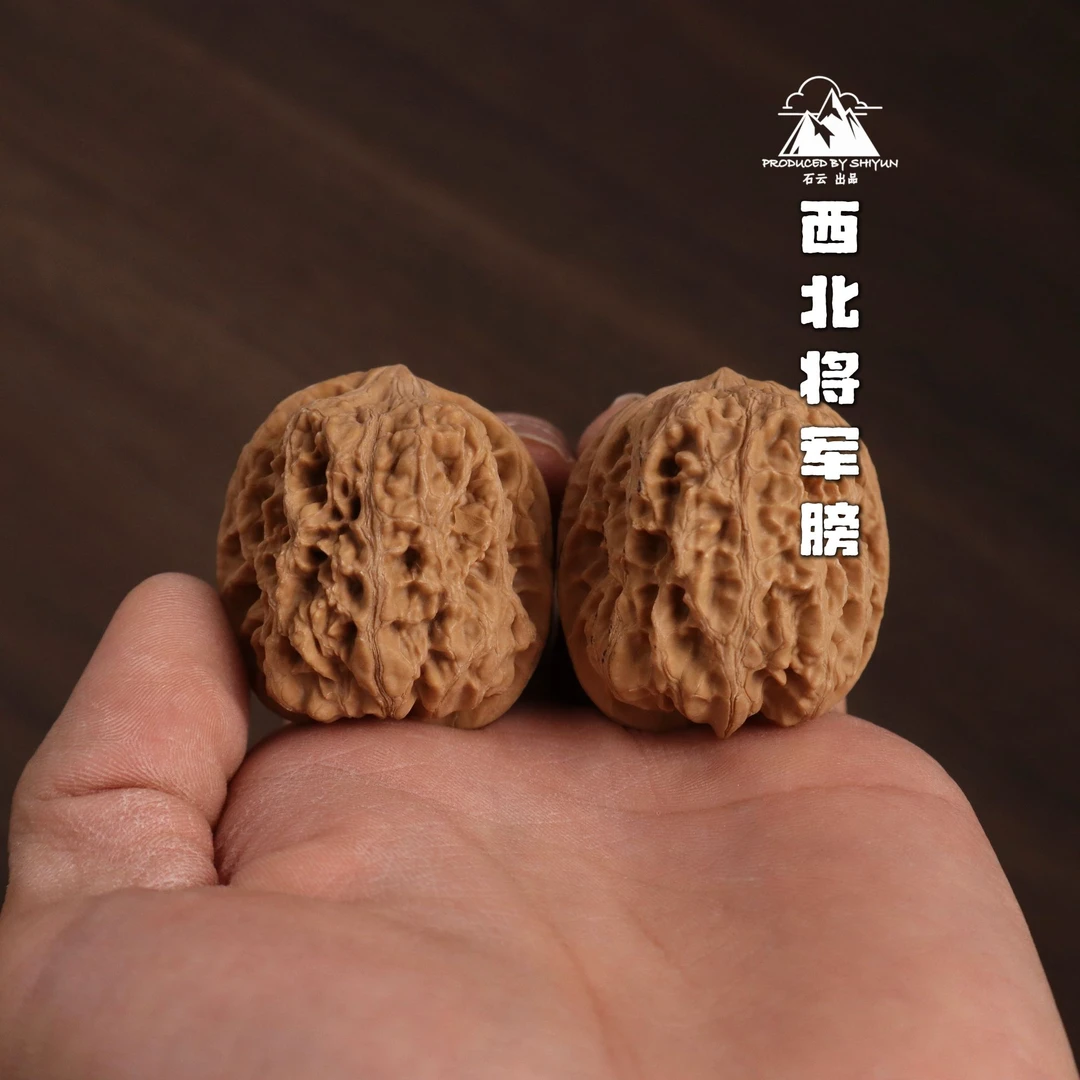 西北将军膀核桃（白茬）