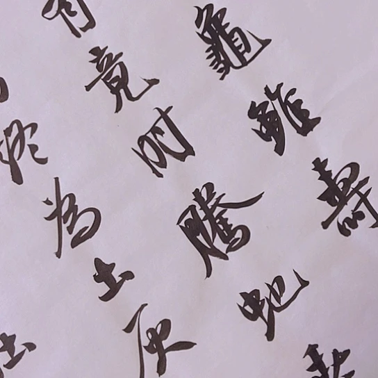 书法张建东老师书法作品