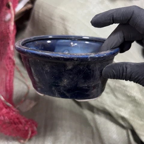 瓷片国营厂13.5厘米