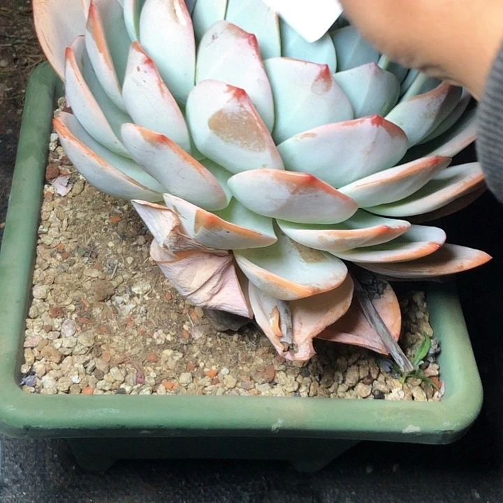 ?***°78///////////////////