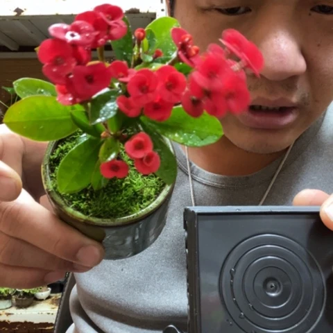 红陶一物一拍所见即所得99