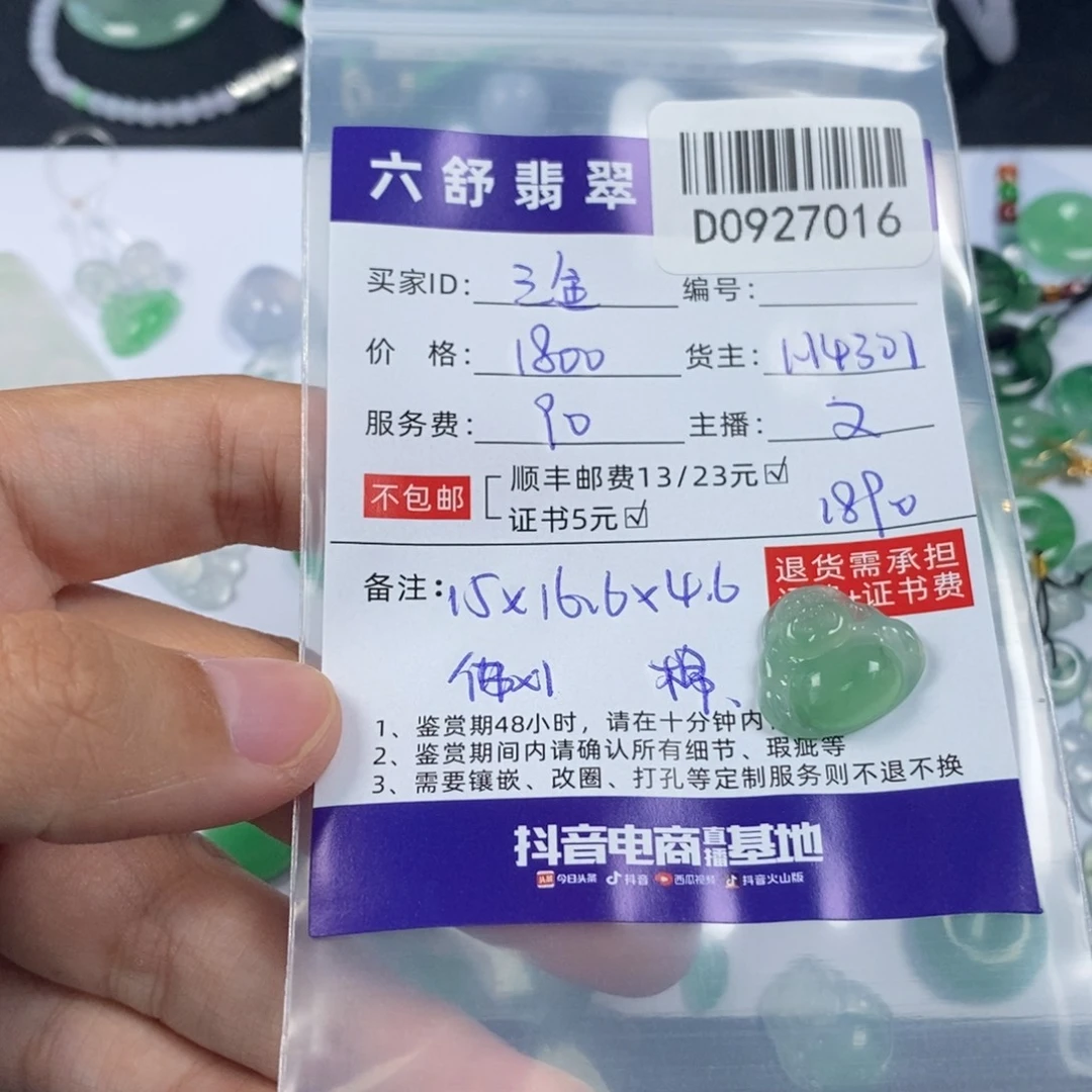 三***鑫翡翠未镶嵌挂件D0927016