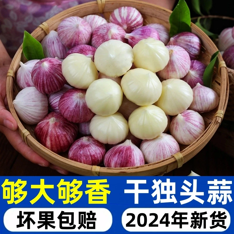 云南紫皮独头大蒜头批发紫皮独蒜特大果农产品生鲜特产瓣蒜