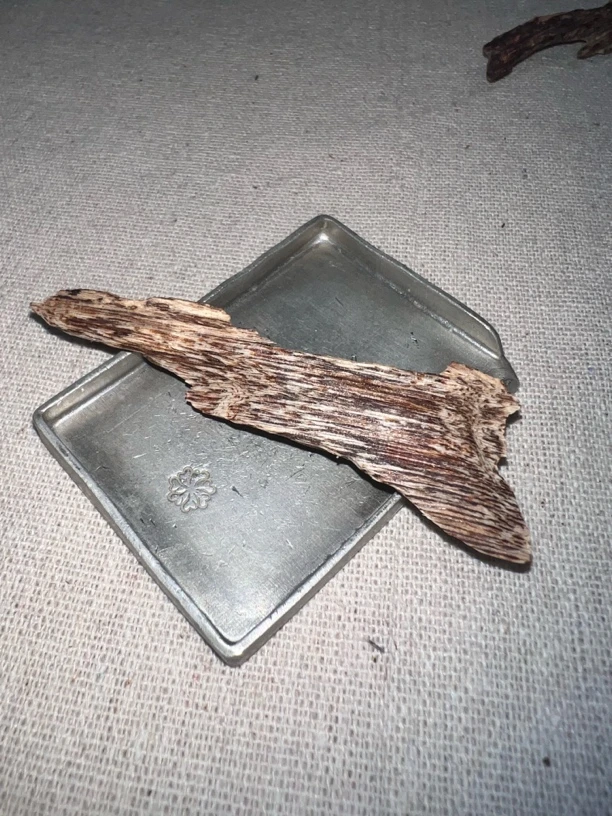 香港树心油花香蜜甜1.2克