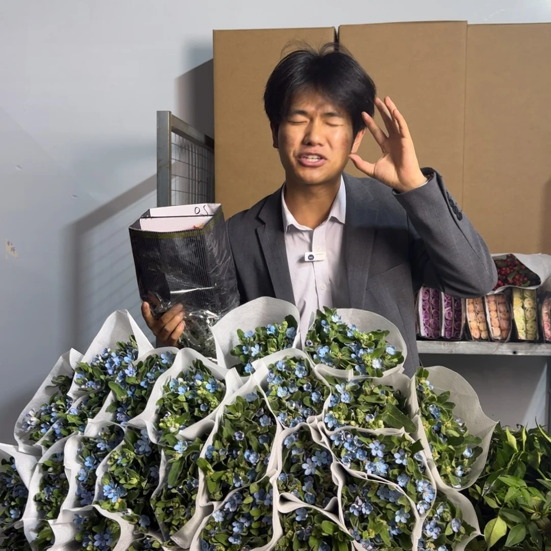 卡布2扎。