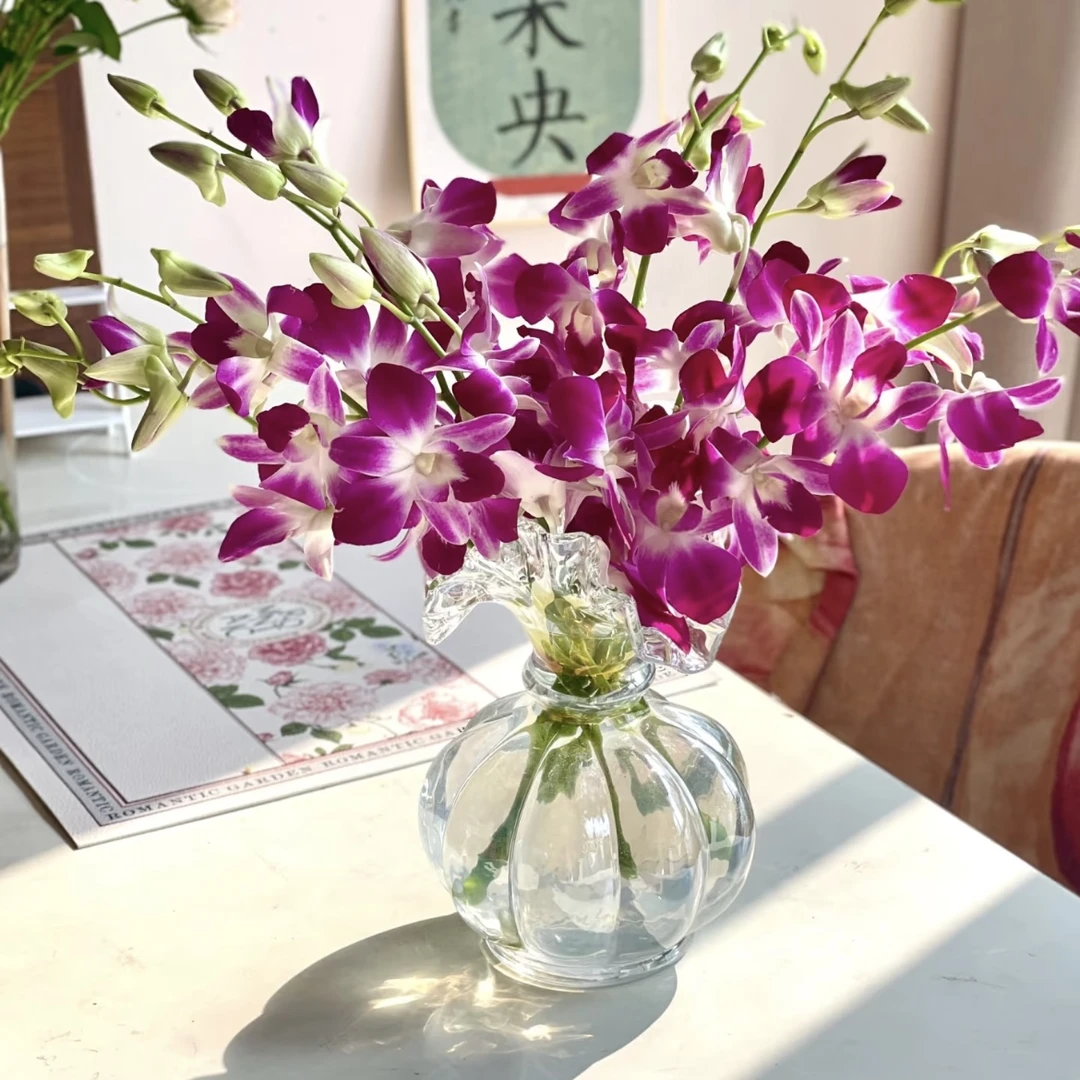 【源头优选】洋兰-任意2单鲜花包邮 发货后不支持退款