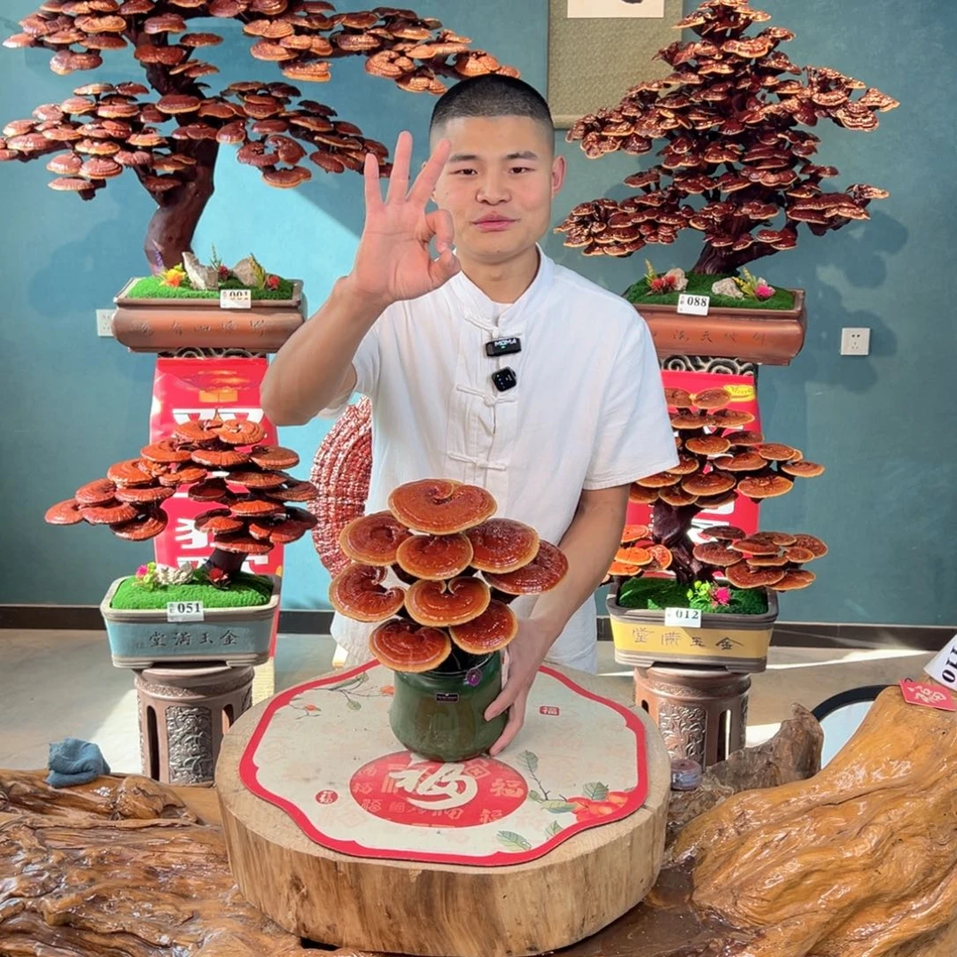 无花朵8778888788888