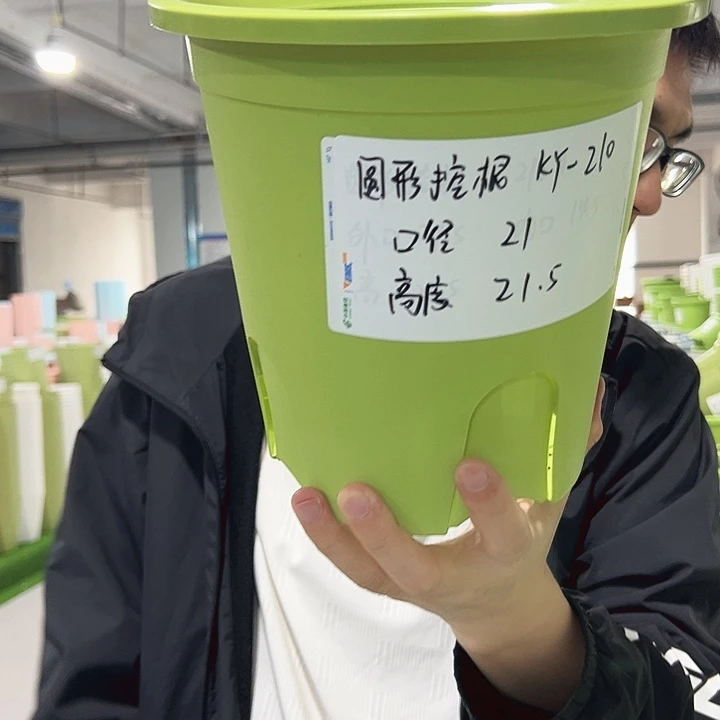 正品圆控口21高21果绿无托8只