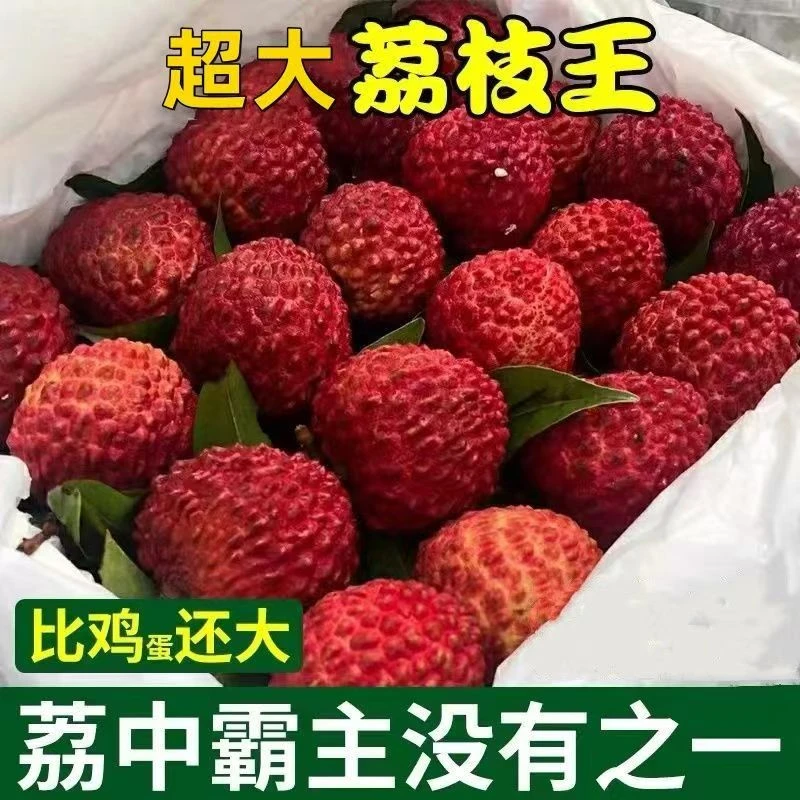 【顺丰冷链】特大荔枝王5斤新鲜水果当季整箱现摘时令荔枝新鲜包邮