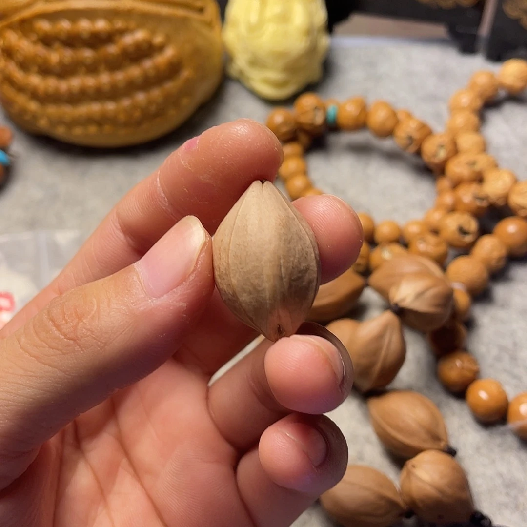 陳橄榄核雕刻素核单籽