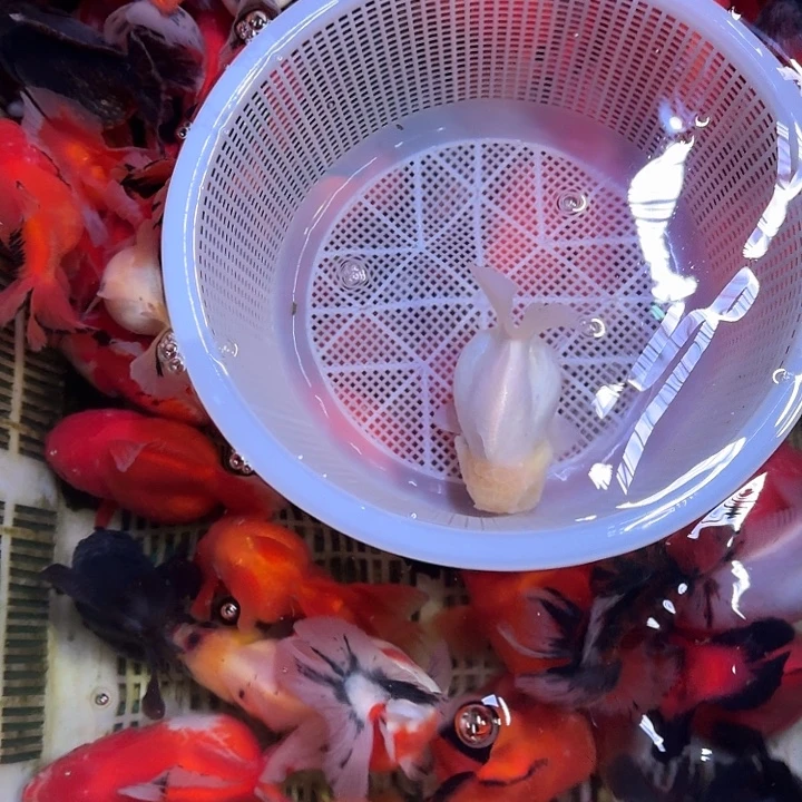 431包邮到家嘿嘿嘿嘿嘿嘿嘿嘿嘿嘿嘿嘿嘿