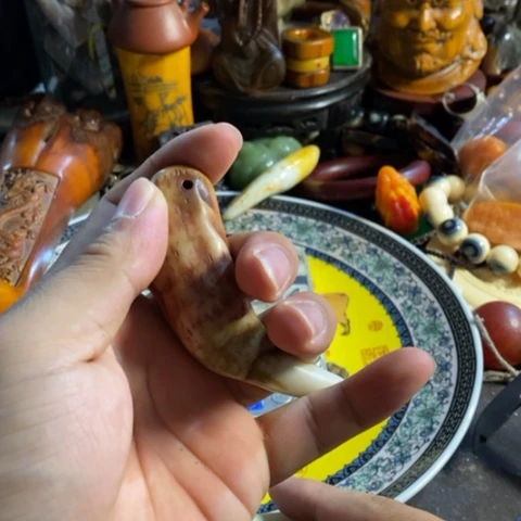 大哥专拍链接一号