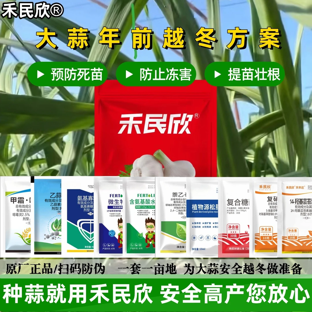大蒜年前三叶到五叶第一遍生根壮苗营养组合套餐返青抗寒防冻