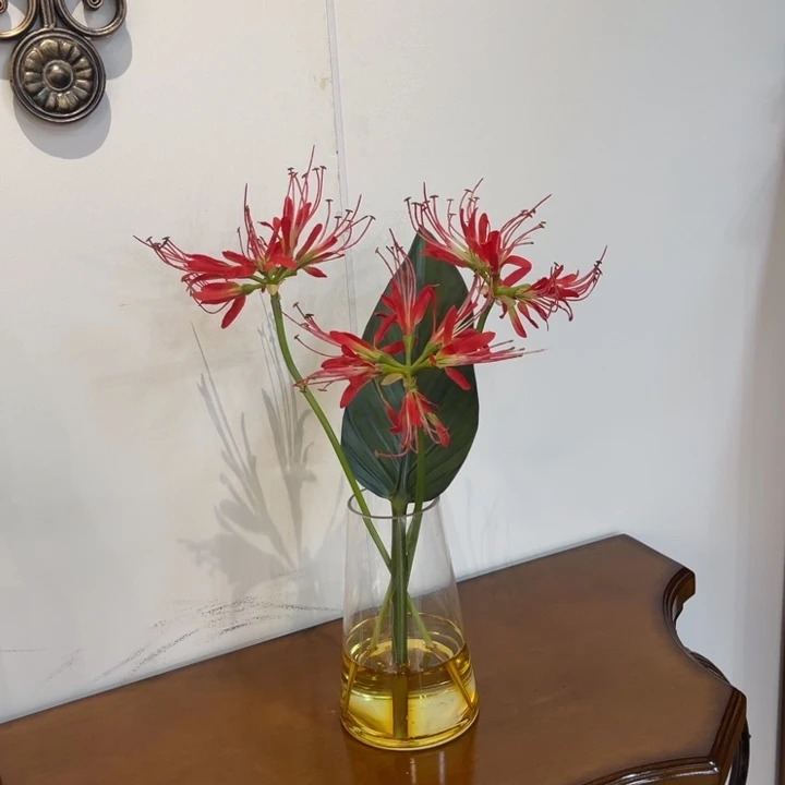 瓷片红陶红陶红陶红陶红陶