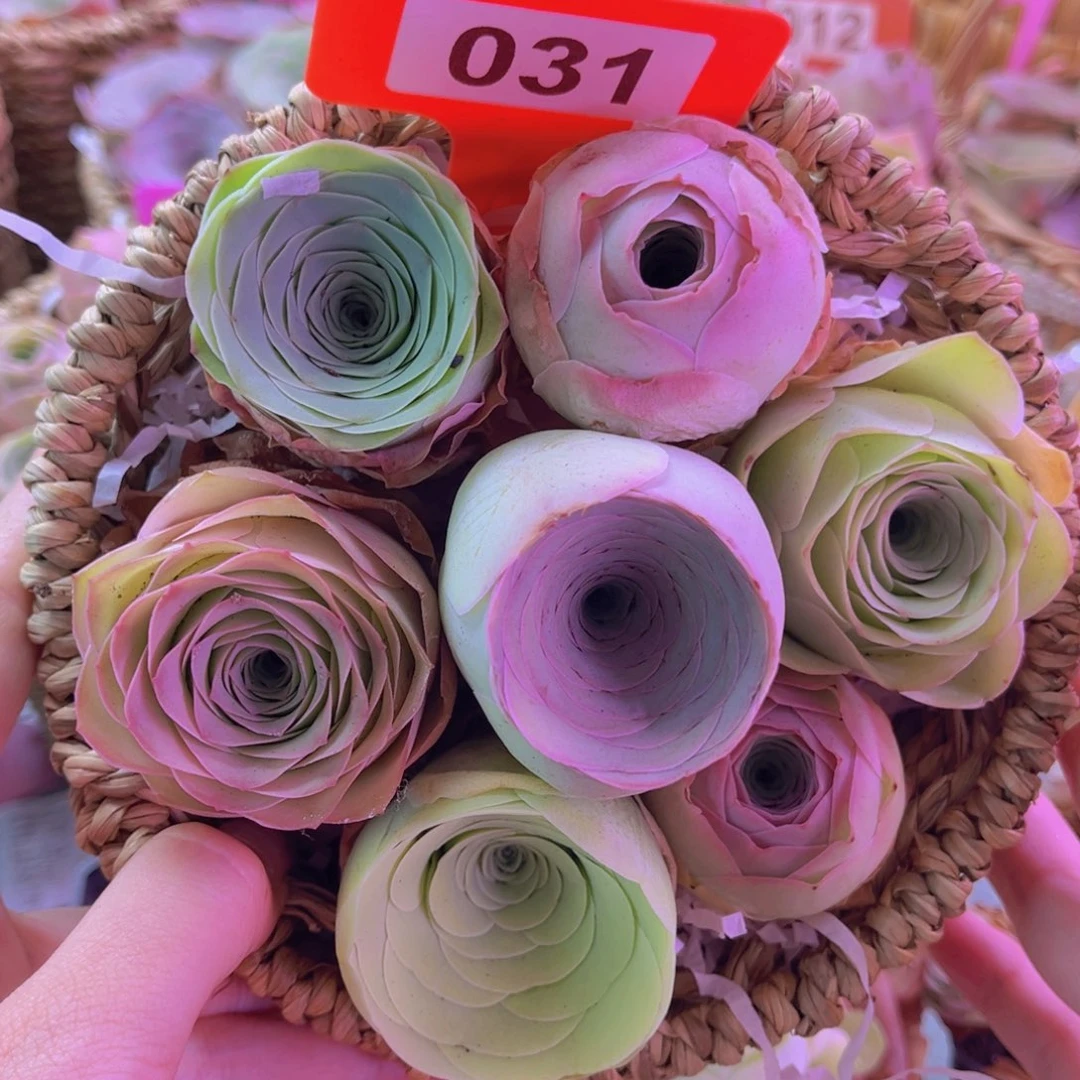 花篮一物一拍福利031