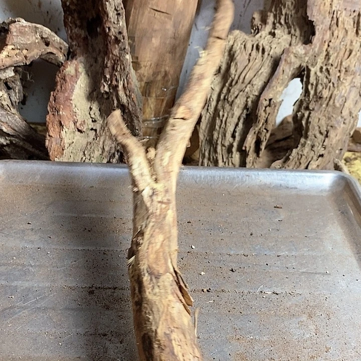 花梨木类自****。海南黄花