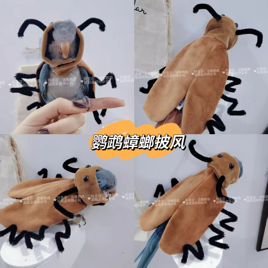 蟑螂款鹦鹉披风斗篷鸟衣服鹦鹉披风玄凤加厚保暖鹦鹉衣用品原创