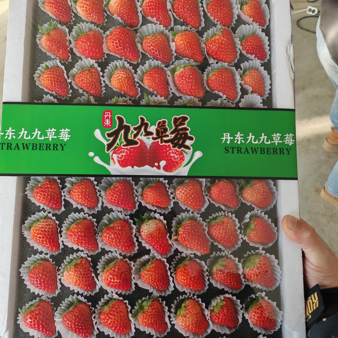 正宗丹东99草莓小小果带箱约2斤（仅限长春同城拍）辽宁省