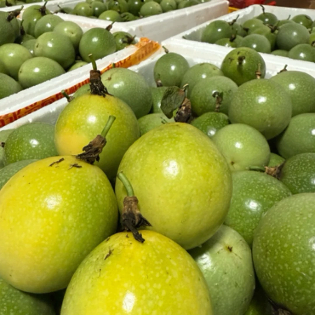 福建优质小百香果现采现摘香甜多汁水果礼盒装