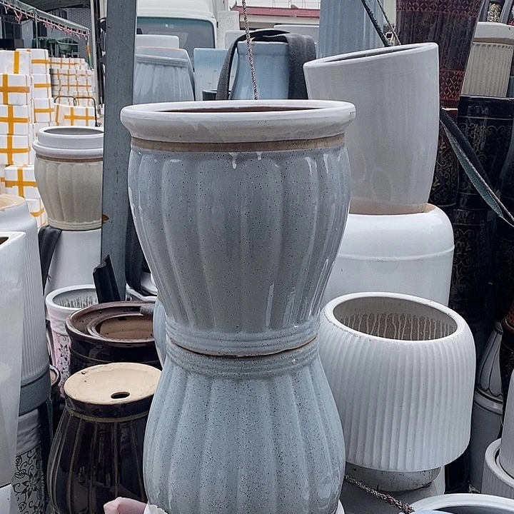 灰南瓜中口31高32福利