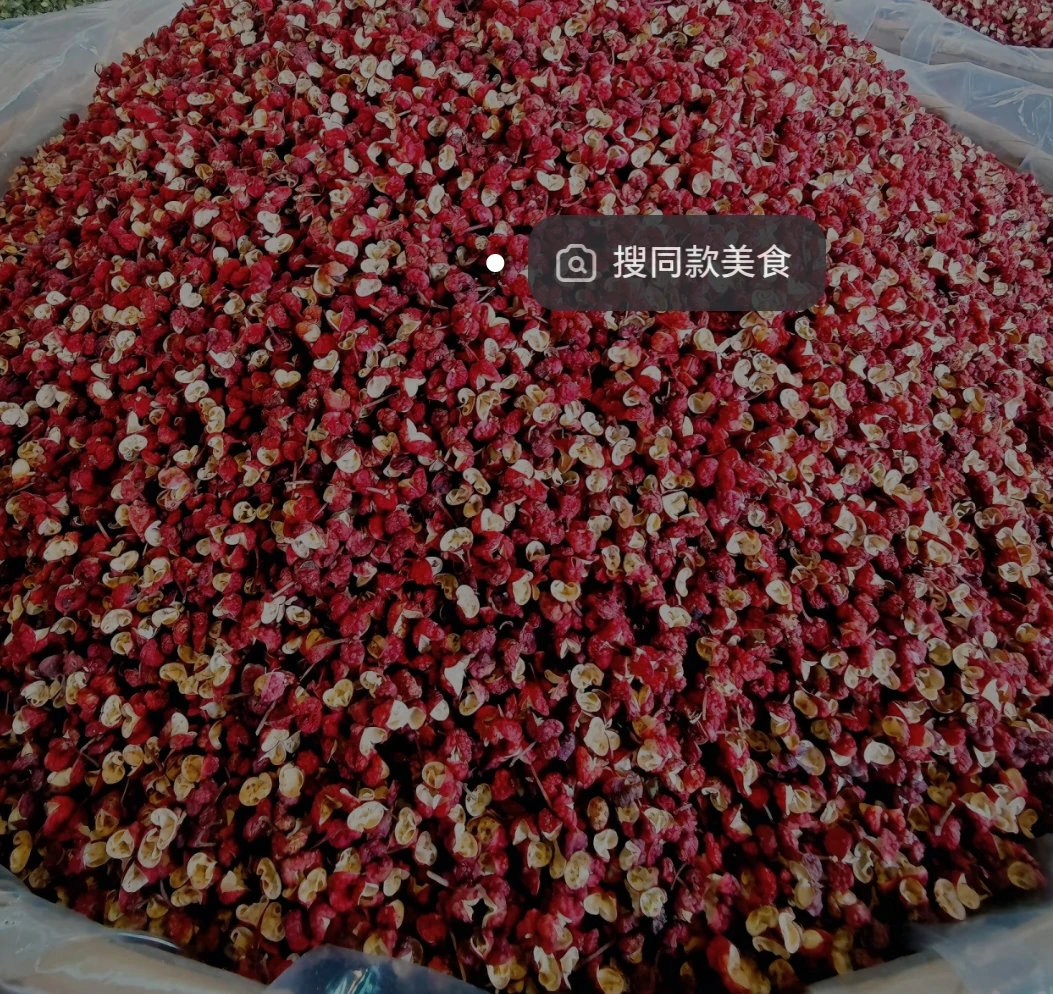 四川韩城大红袍梅花花椒优等品