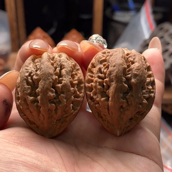 文玩核桃把件楸大胖34
