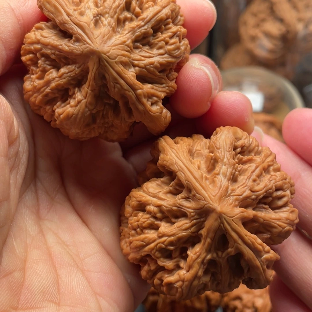 猴头核桃吊坠大粗筋