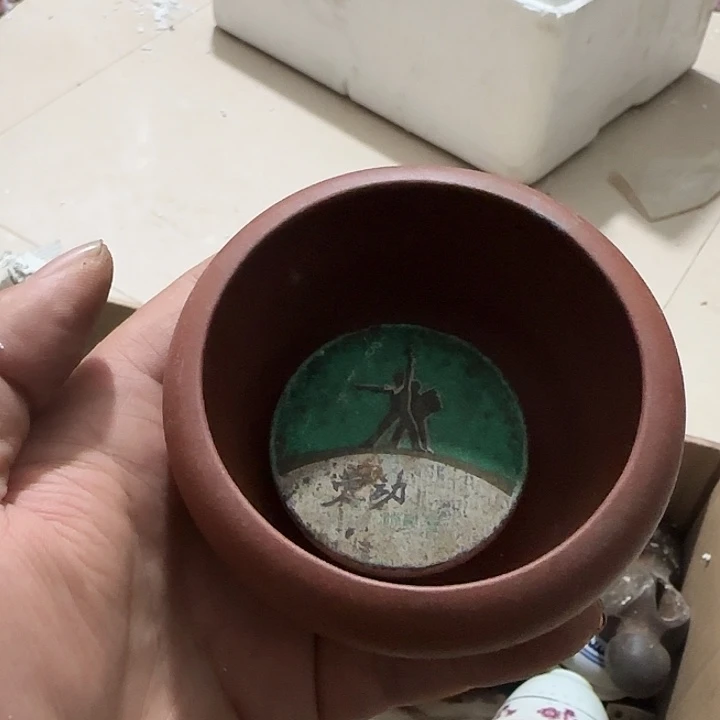 贝壳杉起*Fgfhfhghghg