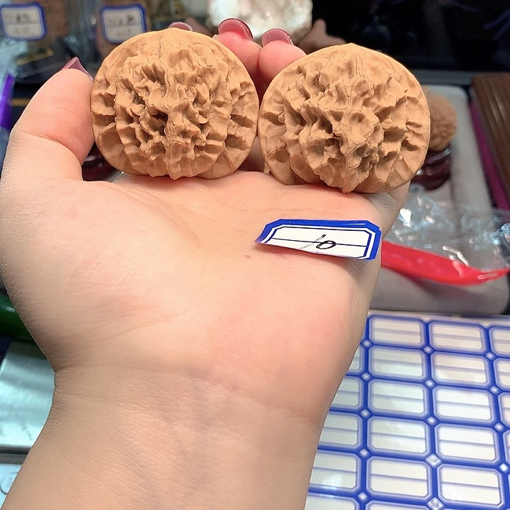 木质类帝王47尺寸