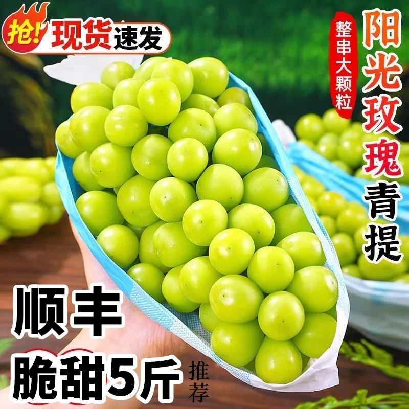 【顺丰】阳光玫瑰葡萄新鲜应季无籽脆甜多汁带玫瑰香现摘现发礼盒