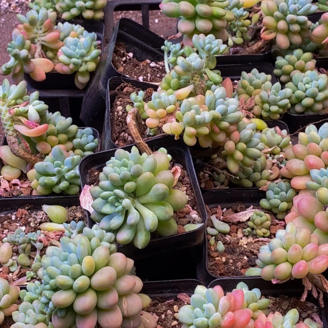 984的人在一起的时候我