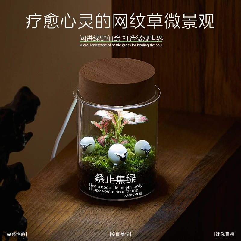 微景观生态瓶苔藓造景绿植摆件室内工位办公桌面禁止焦虑小盆栽