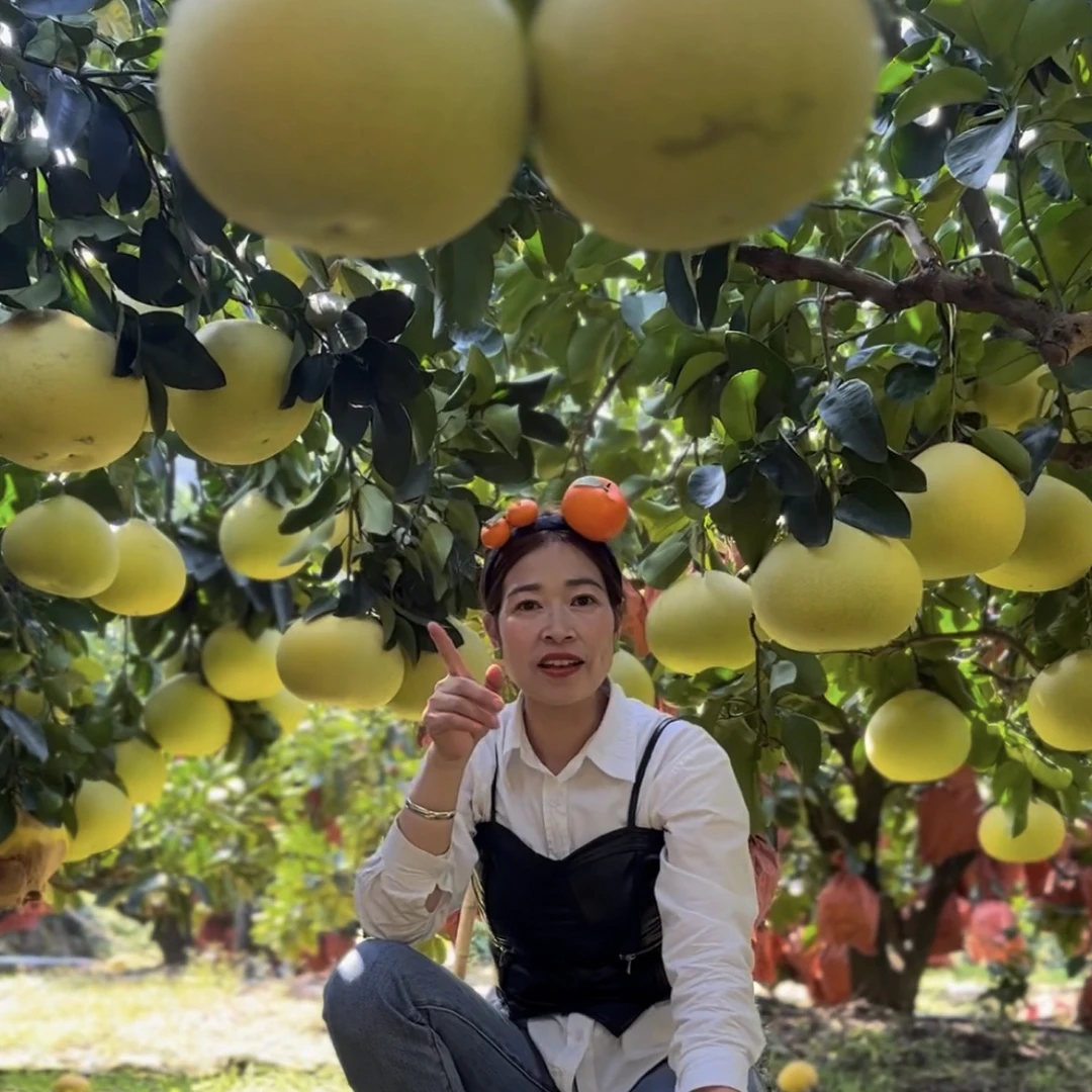玉环早熟文旦 基地直发软糯酸甜水分足