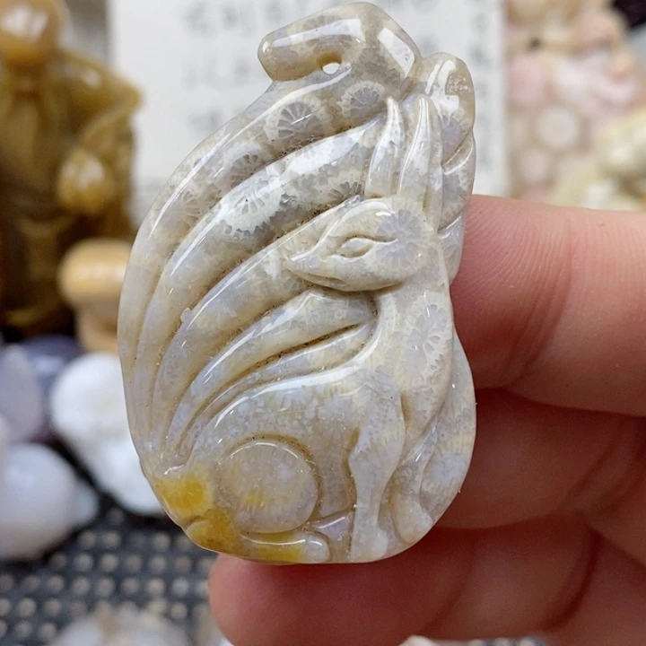 颈饰未镶嵌硅化珊瑚（珊瑚玉）