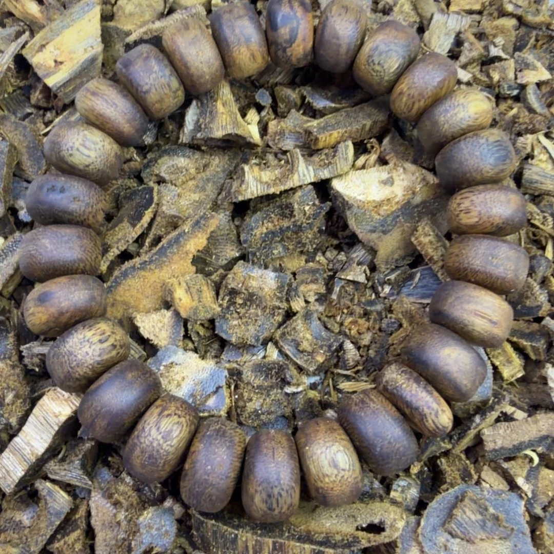 沉香碎屑沉香1.2老白棋算盘单圈11