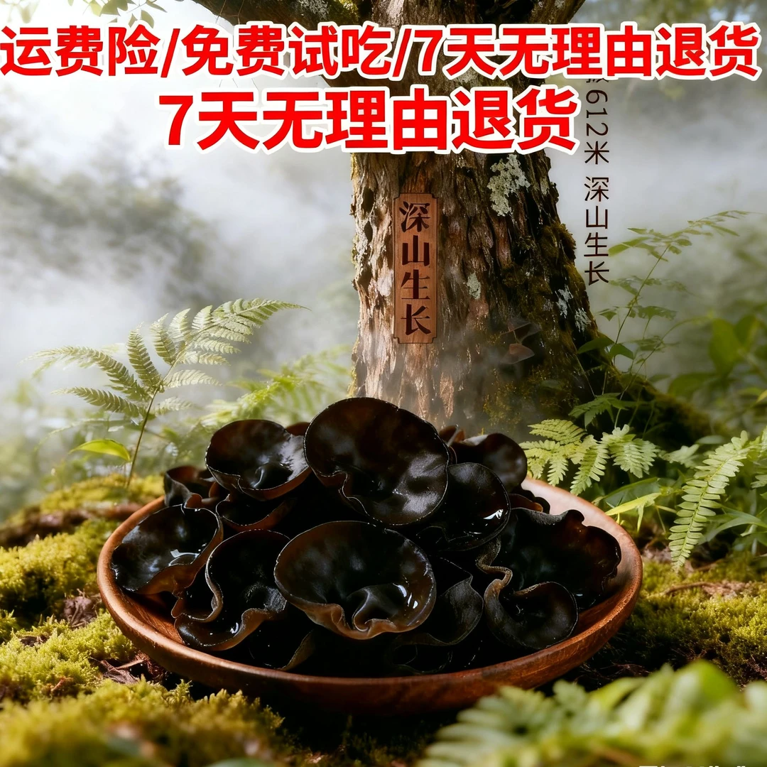 东北吉林秋耳试吃装50克