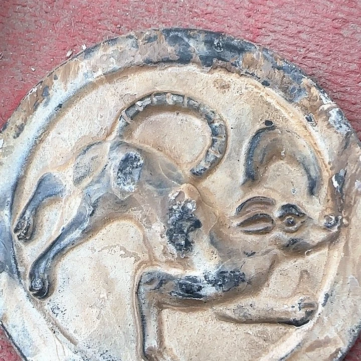 是老师喜欢的作品