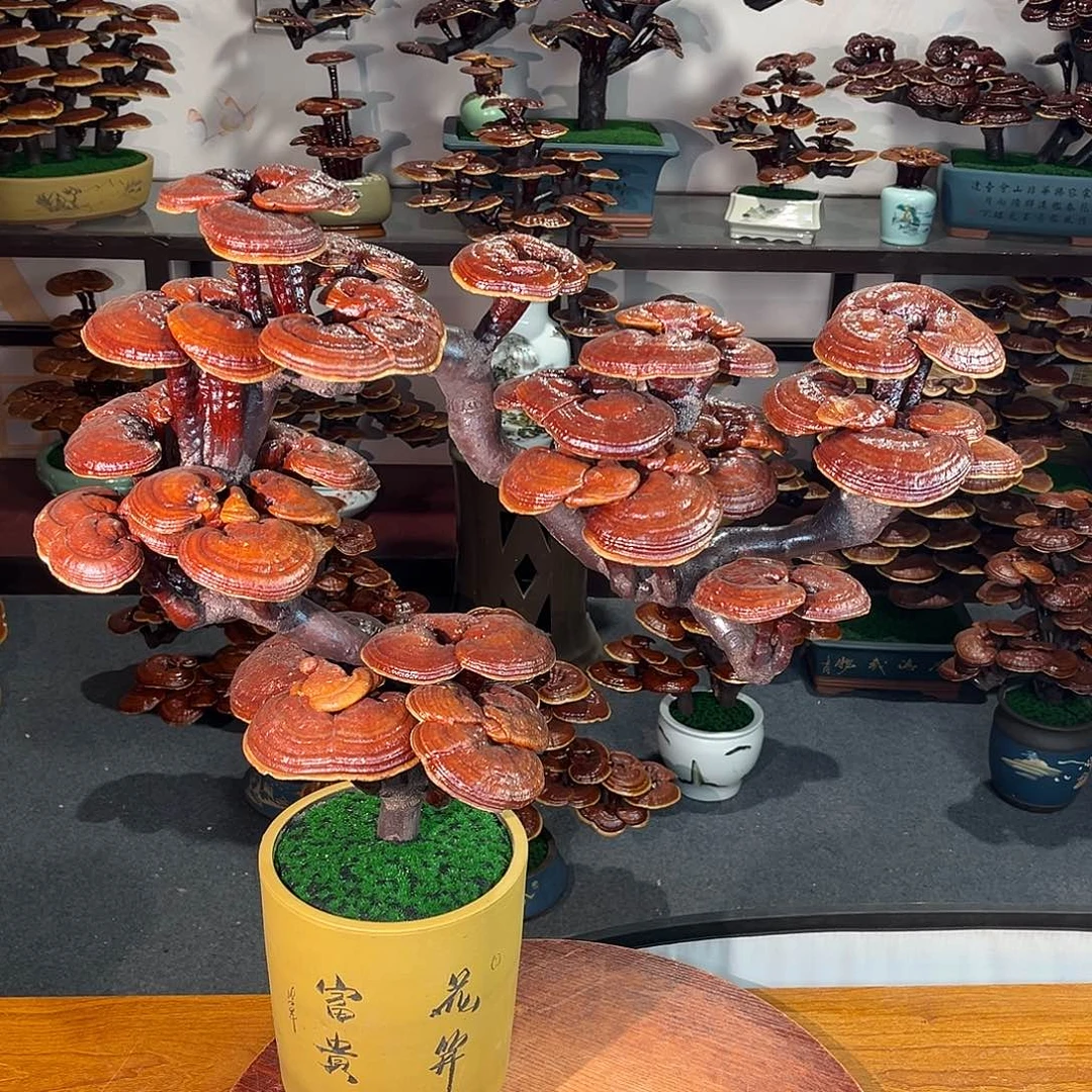 无花朵万事如意8888888888888888