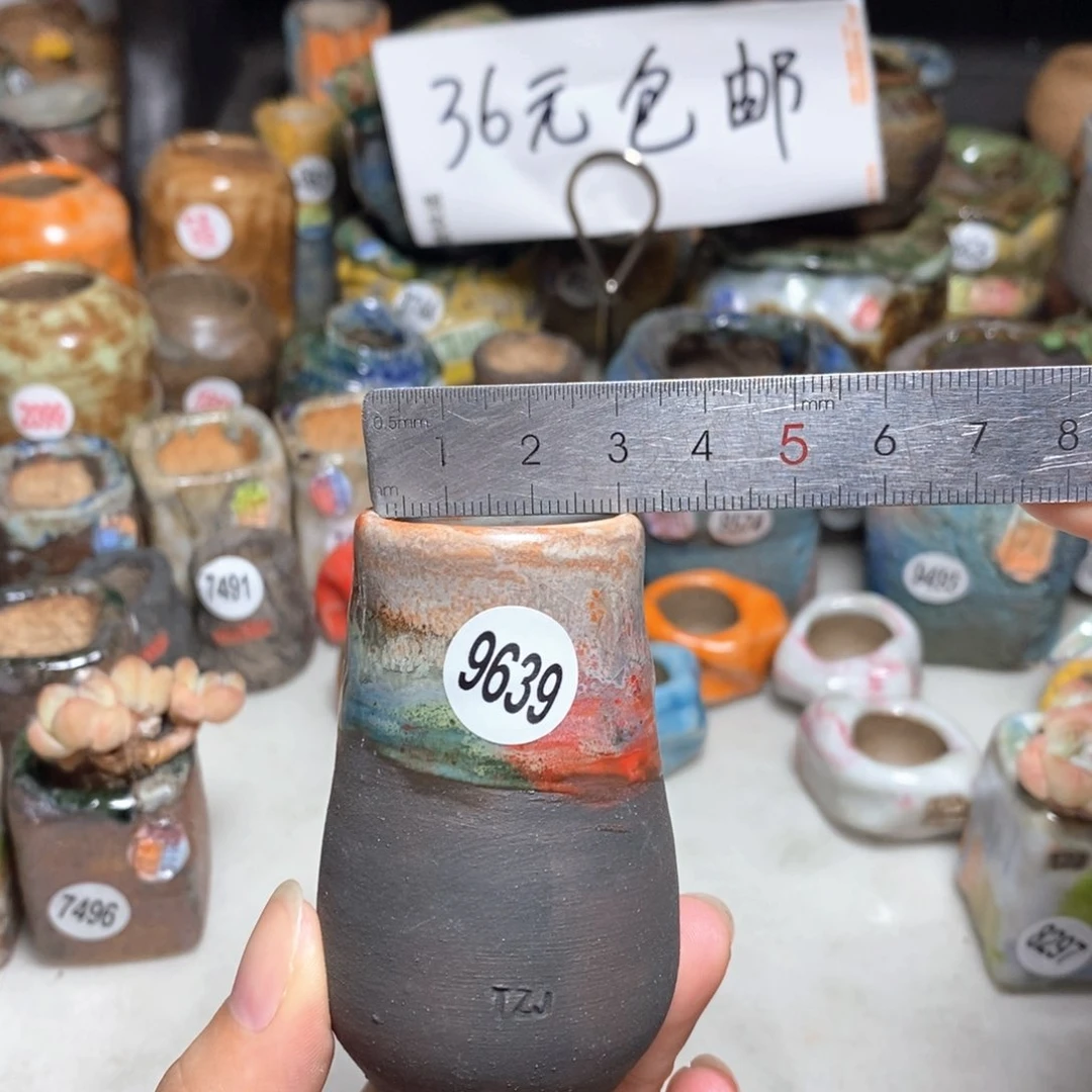 拍5送一个小礼物