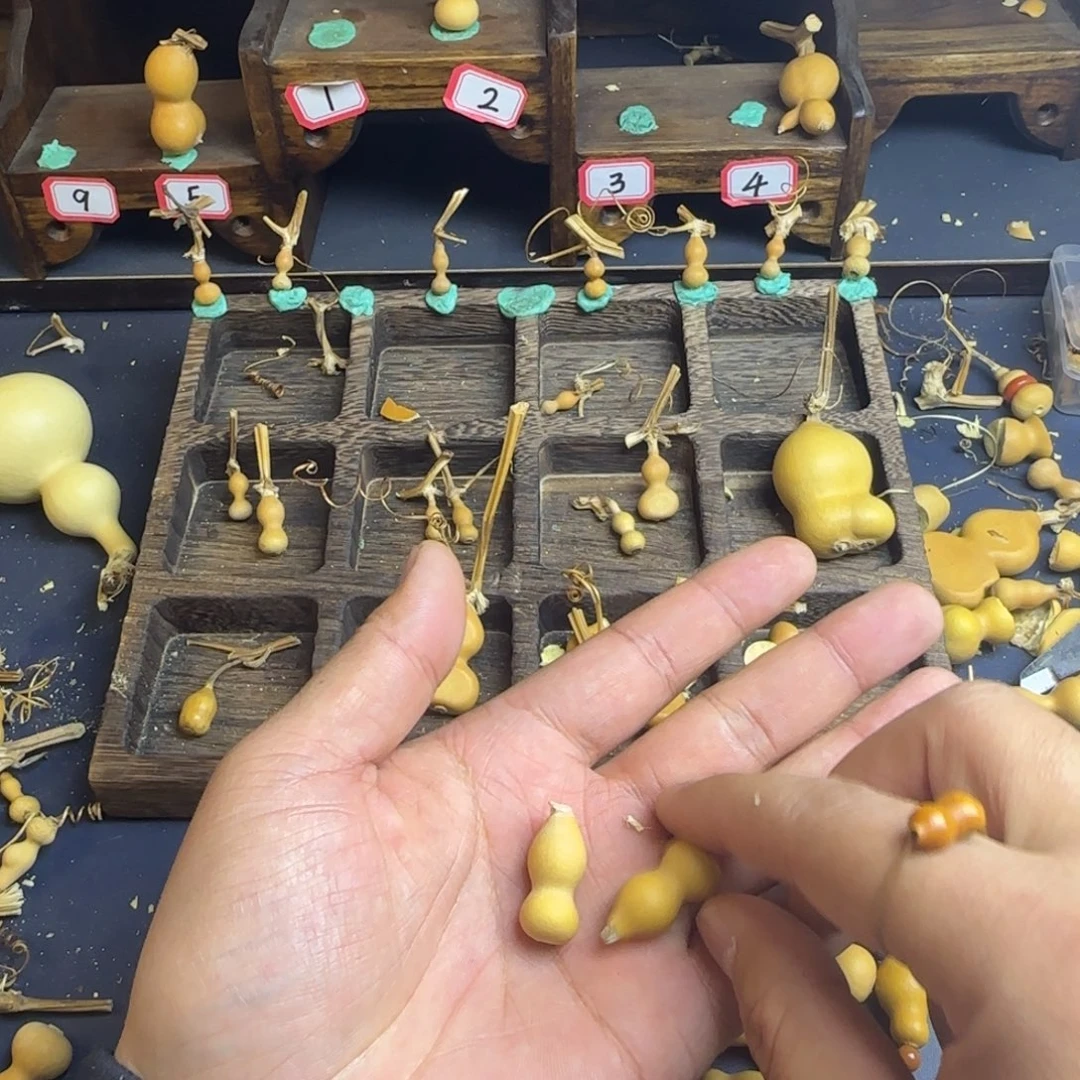 孔***孔我也是很喜欢这个节目的我